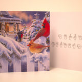 Christmas Cards (Pack of 12) x 2