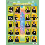 Children's Opposites Poster ISL Irish Sign Language  