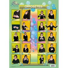 Children's Opposites Poster ISL Irish Sign Language  